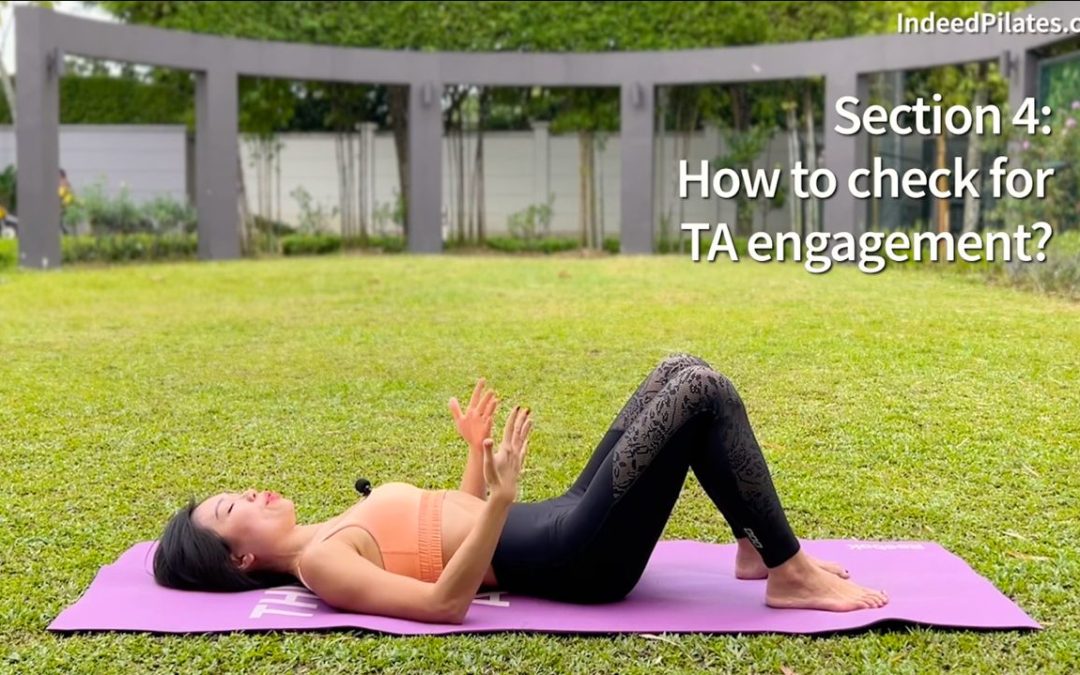 Section 4: How to Check for TA Engagement?
